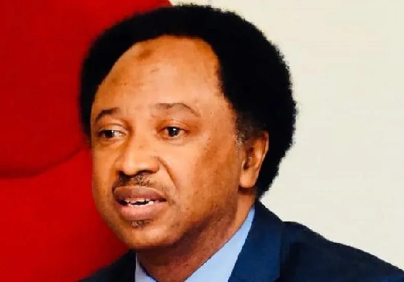 2027: North must support Tinubu to complete 8yrs, he did 2027: North must support Tinubu to complete 8yrs, he did well - Shehu Sani