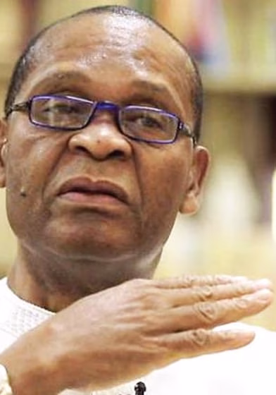 2027: Tinubu owns SDP, ignore him at your own peril - APC chieftain, Joe Igbokwe
