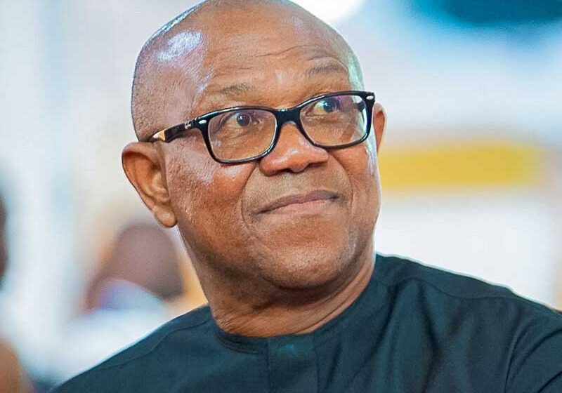 2027: We're still fielding Peter Obi against Tinubu - Labour Party