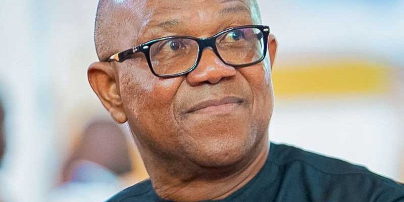 2027: We're still fielding Peter Obi against Tinubu - Labour 2027: We're still fielding Peter Obi against Tinubu - Labour Party