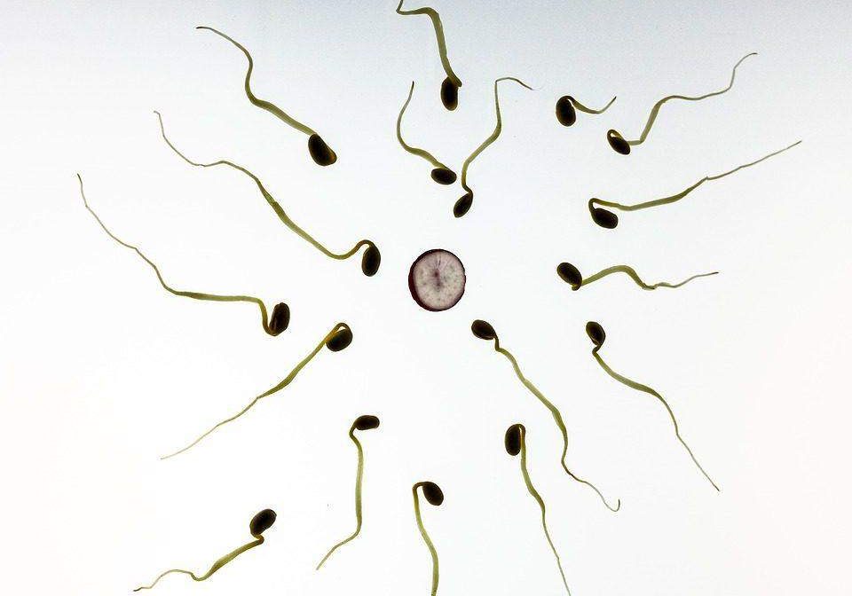 20372 infertility