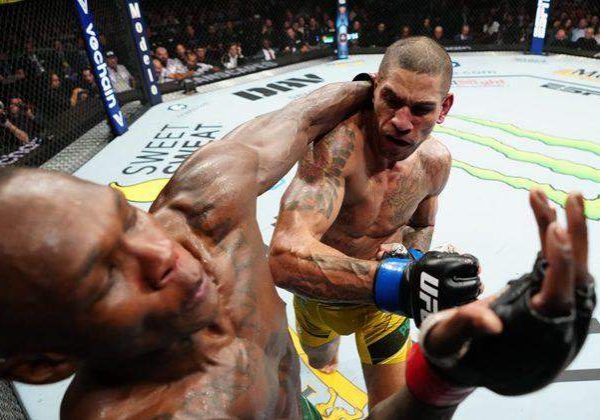 24766 pereira tipped to beat adesanya in rematch 24766 pereira tipped to beat adesanya in rematch