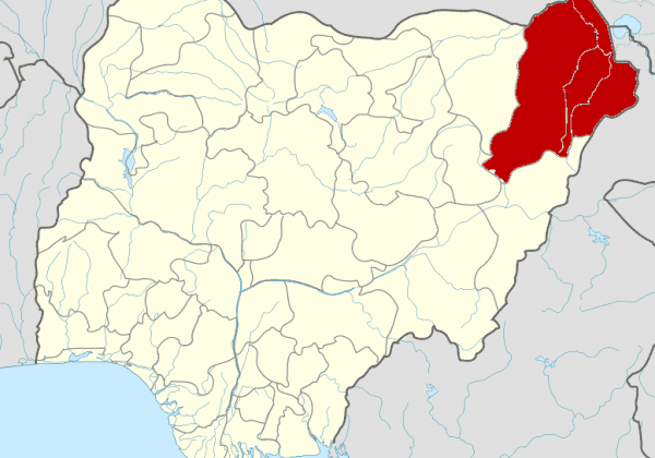 27223 suspected boko haram terrorists kill 29 fishermen in borno