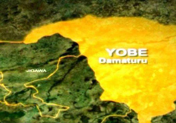 29167 yobe lg auditor general jailed five years for fraud 29167 yobe lg auditor general jailed five years for fraud