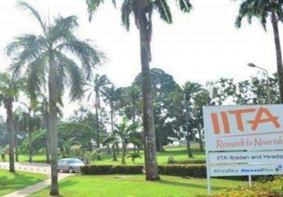 29443 ecobank iita empower 16000 youths in agriculture 29443 ecobank iita empower 16000 youths in agriculture