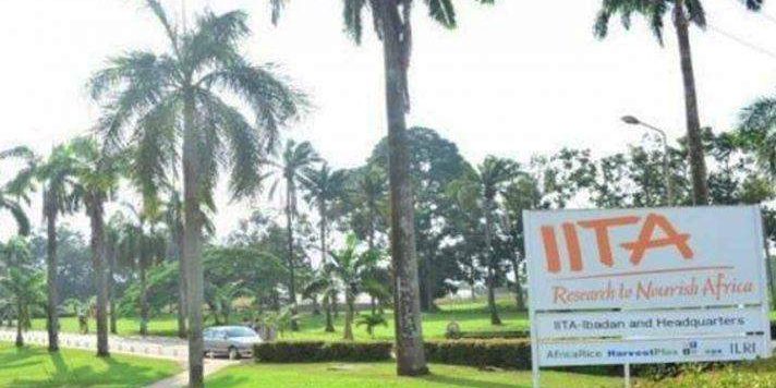 29443 ecobank iita empower 16000 youths in agriculture 29443 ecobank iita empower 16000 youths in agriculture