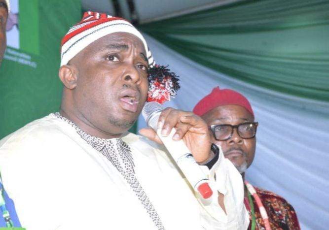 30278 dont pick senate president from the north isiguzoro to tinubu 30278 dont pick senate president from the north isiguzoro to tinubu