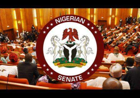30372 why i will challenge fct senatorial election result lawmaker