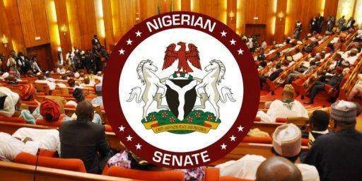 30372 why i will challenge fct senatorial election result lawmaker