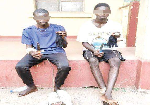 30569 enugu siblings kill uncles guard son over car 30569 enugu siblings kill uncles guard son over car