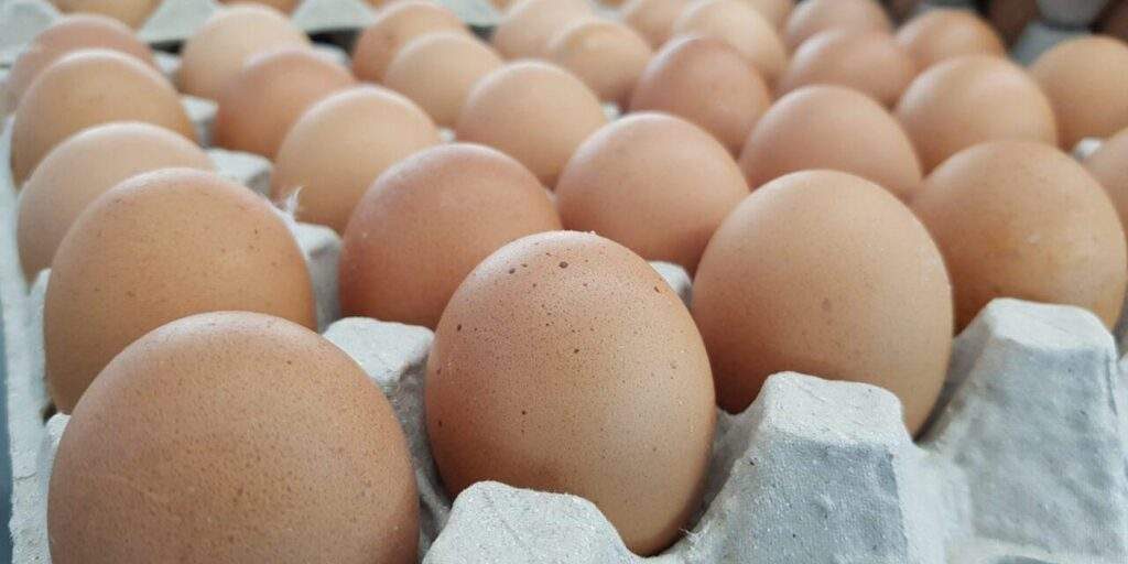 30737 naira scarcity poultry farmers lose over n30bn eggs association 30737 naira scarcity poultry farmers lose over n30bn eggs association
