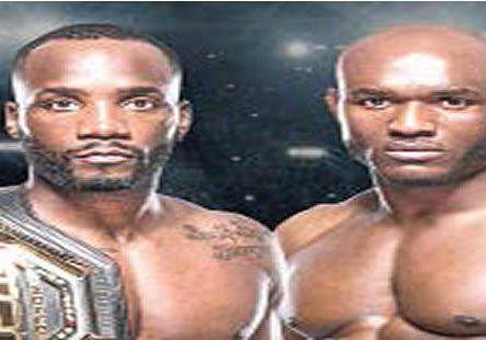 31569 edwards retains belt 31569 edwards retains belt