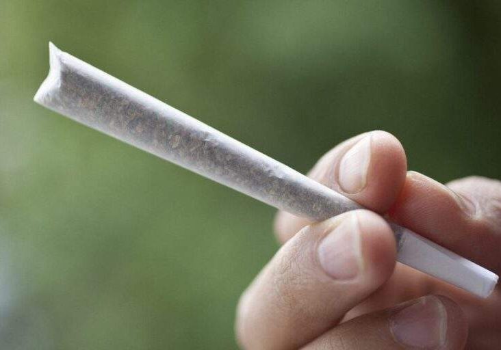 33739 reps clash over fresh bill to legalise marijuana 33739 reps clash over fresh bill to legalise marijuana