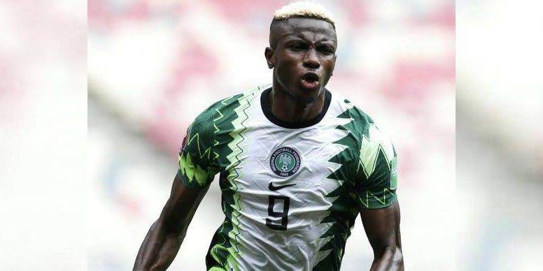 33810 super eagles ll give djurtus respect they deserve osimhen 33810 super eagles ll give djurtus respect they deserve osimhen