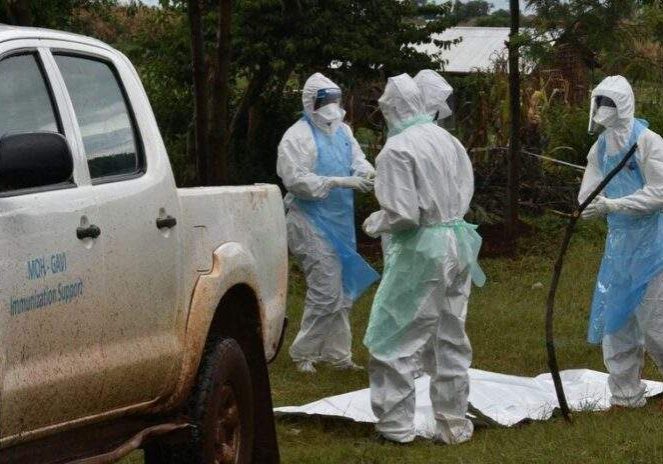 33833 tanzania confirms outbreak of deadly marburg virus 33833 tanzania confirms outbreak of deadly marburg virus