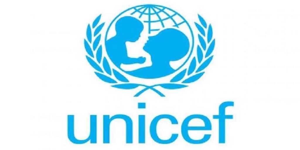 36 per cent pregnant women suffer anaemia in Adamawa - UNICEF