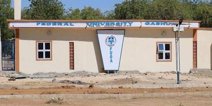 37753 yobe federal varsity lecturer was flogged by thugs not students registrar 37753 yobe federal varsity lecturer was flogged by thugs not students registrar