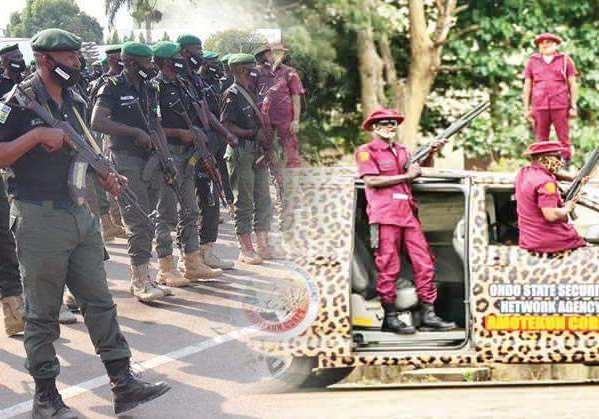 39409 police amotekun arrest five indian hemp farmers in ekiti 39409 police amotekun arrest five indian hemp farmers in ekiti