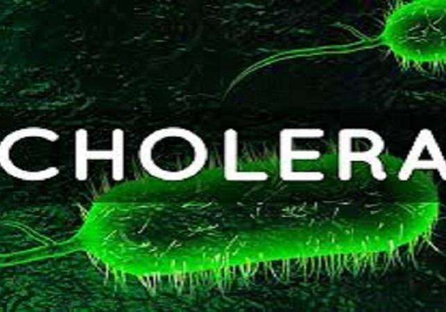 3984 fct medical personnel placed on red alert over resurgence of ebola cholera other communicable diseases 3984 fct medical personnel placed on red alert over resurgence of ebola cholera other communicable diseases
