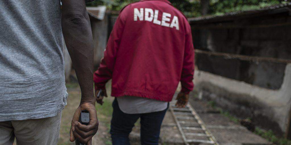 41364 in 2 months ndlea arrests 352 suspects seizes 2 1 tonnes of illicit drugs in kano 41364 in 2 months ndlea arrests 352 suspects seizes 2 1 tonnes of illicit drugs in kano