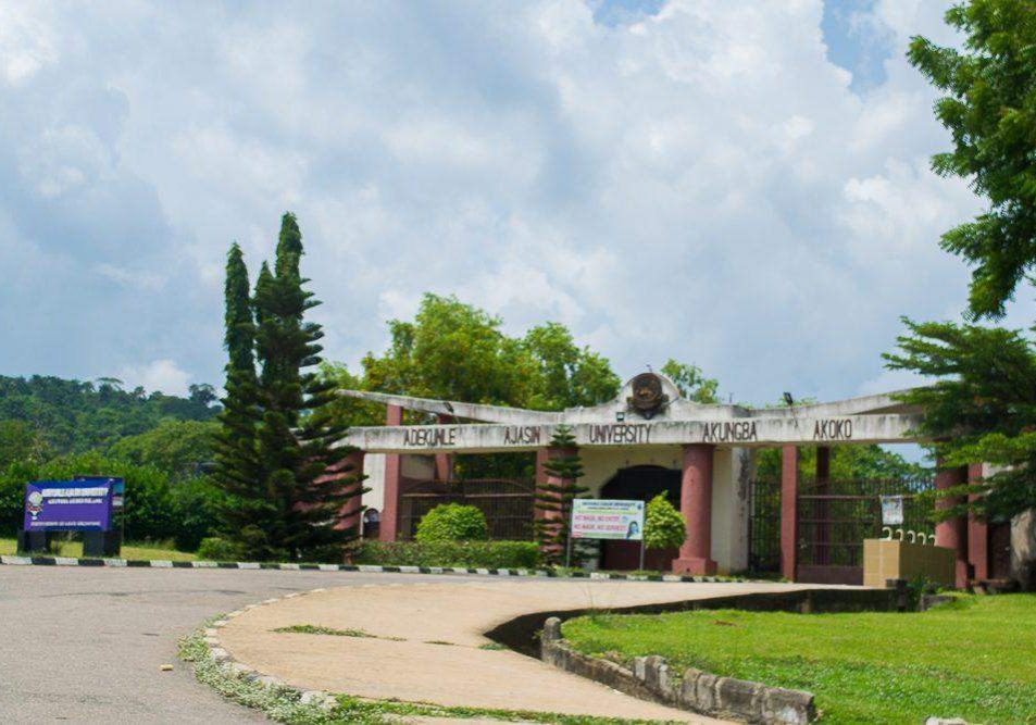 41622 police prevent protest as indigene stabs aaua student to death