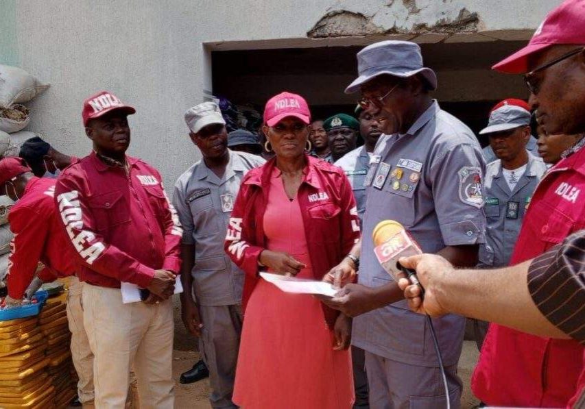 42098 customs hands over n98m worth of cannabis to ndlea in ogun photos 42098 customs hands over n98m worth of cannabis to ndlea in ogun photos