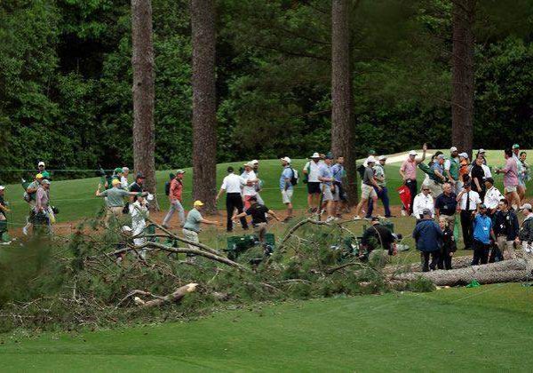 42177 fans escape as trees fall at golf tournament 42177 fans escape as trees fall at golf tournament