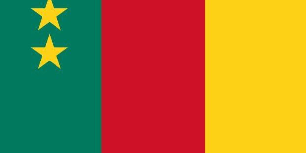 42340 cameroon begins online visa application service april 30 42340 cameroon begins online visa application service april 30