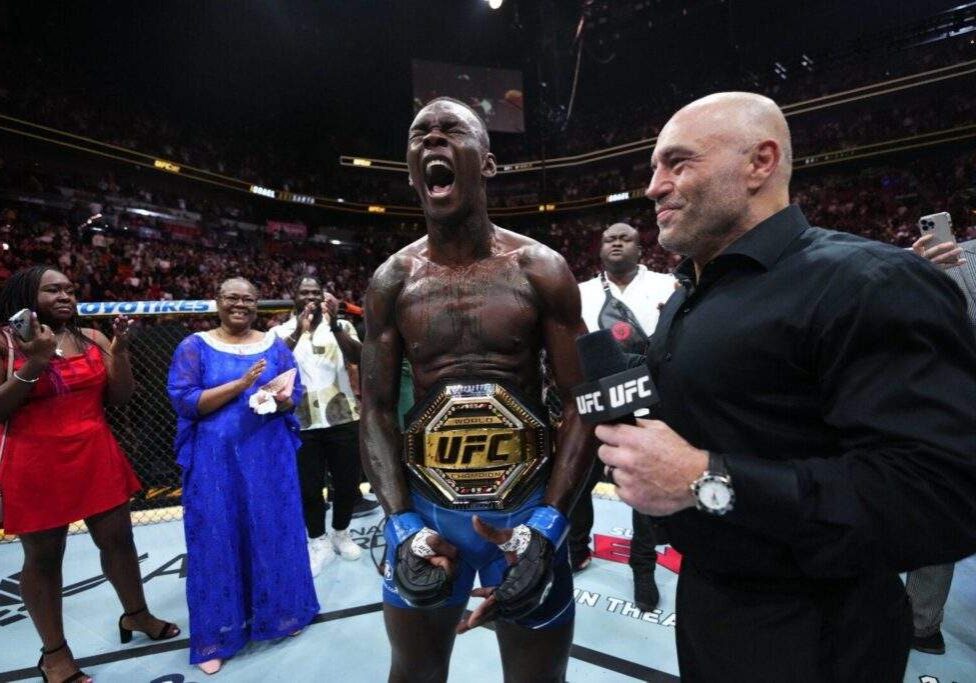 42951 pictorial moment adesanya knocks out pereira to reclaim ufc title