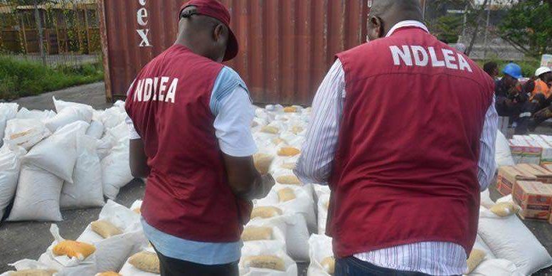 43072 ndlea arrests surinamese with 9 9kg cocaine concealed in condoms 43072 ndlea arrests surinamese with 9 9kg cocaine concealed in condoms