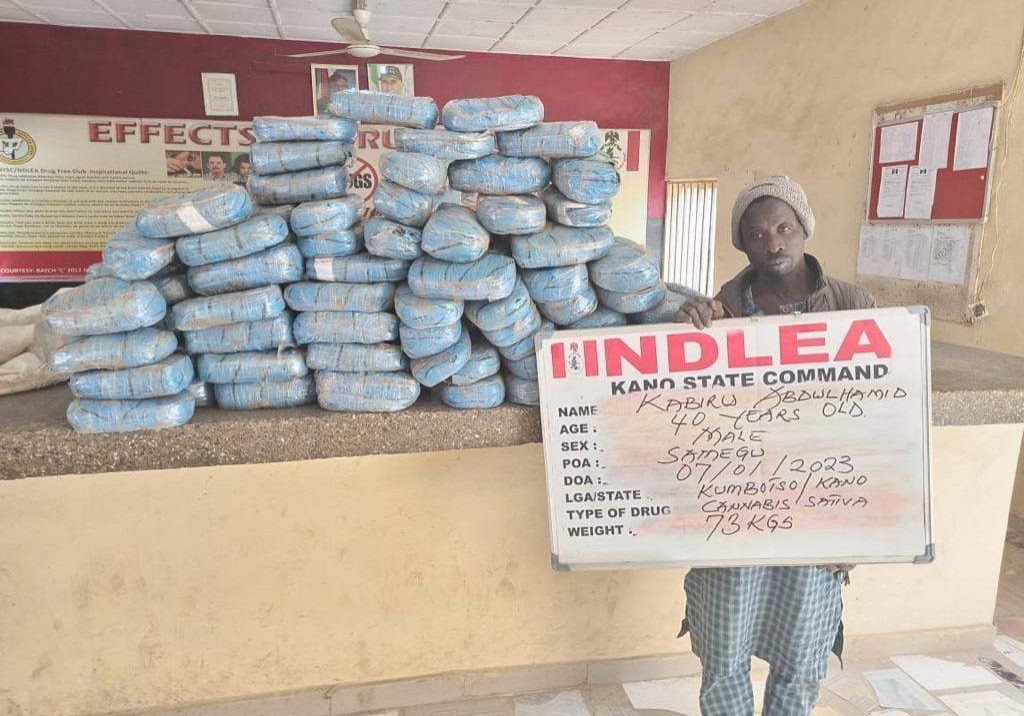 4352 ndlea seizes 3975kgs skunk 58200 tramadol pills arrests 11 suspects in 4 states 4352 ndlea seizes 3975kgs skunk 58200 tramadol pills arrests 11 suspects in 4 states