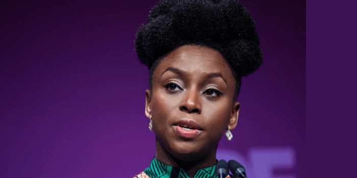 44485 chimamanda adichie counters soyinka on fascist comment gives reason 44485 chimamanda adichie counters soyinka on fascist comment gives reason