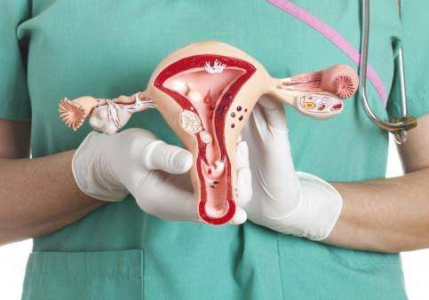 45922 28 nigerian women die from cervical cancer daily gynaecologist
