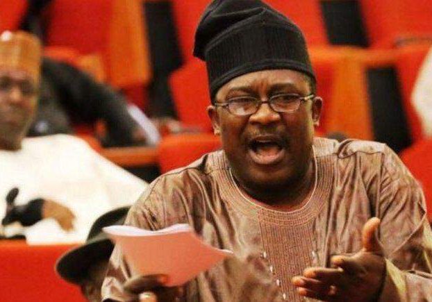 47978 bello imposed his cousin gov primary didnt hold smart adeyemi 47978 bello imposed his cousin gov primary didnt hold smart adeyemi