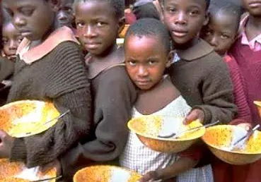 4.8 Million at risk of acute hunger in Borno, Yobe, 4.8 Million at risk of acute hunger in Borno, Yobe, Adamawa – WFP