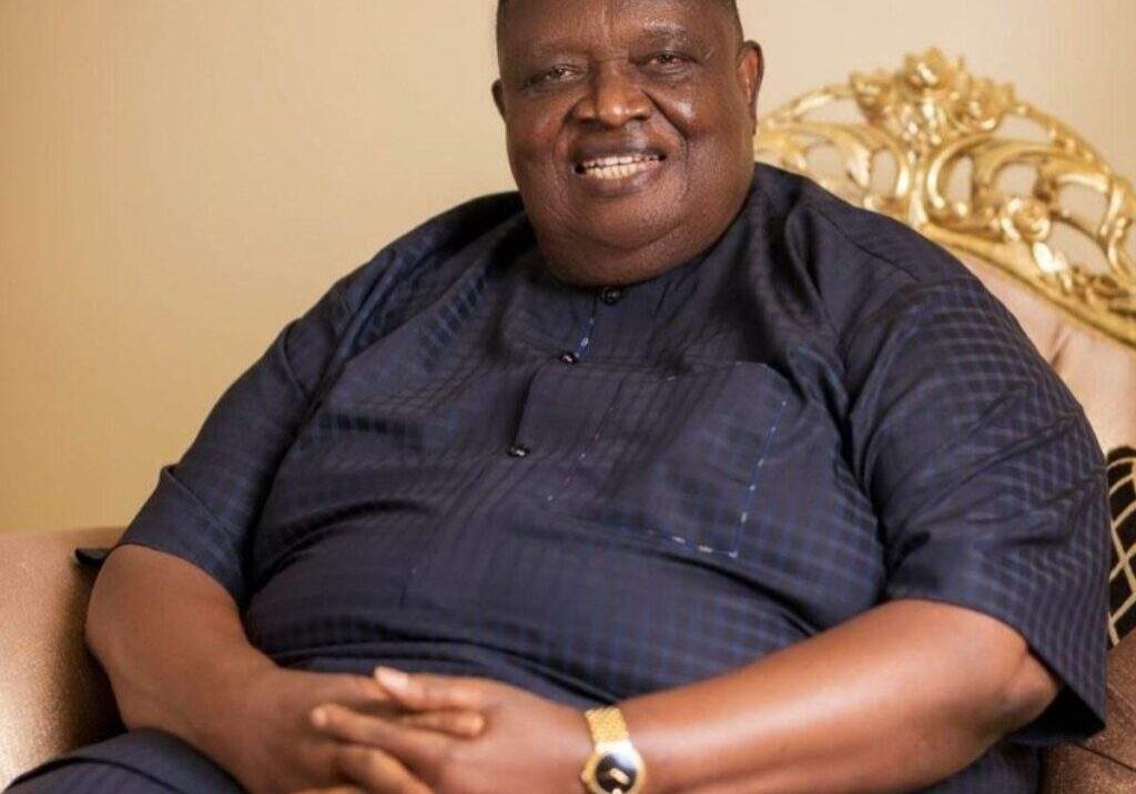 48902 iwuanyanwu emerges president general of ohanaeze ndigbo worldwide