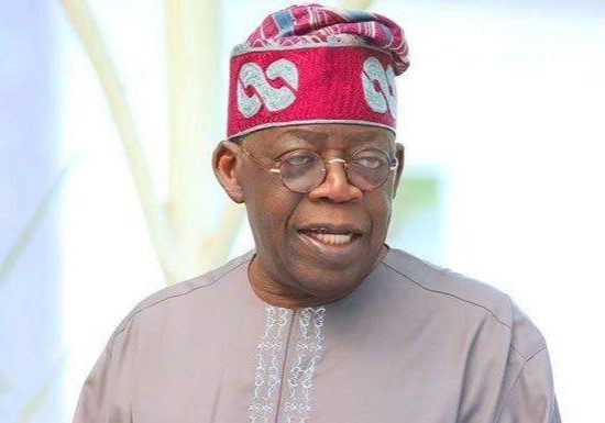 5024 why apc chieftains arent campaigning for tinubu momodu