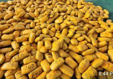 50378 customs intercept 553 parcels of cannabis sativa in seme arrests 4 suspects 50378 customs intercept 553 parcels of cannabis sativa in seme arrests 4 suspects