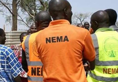 50561 nema restates commitment towards evacuating stranded nigerians in sudan 50561 nema restates commitment towards evacuating stranded nigerians in sudan