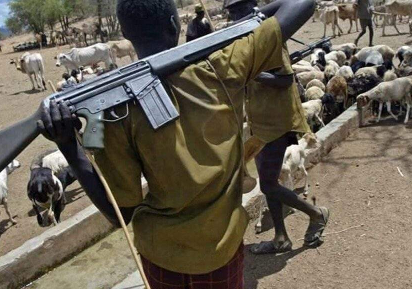 51574 herdsmen murder labour party chairman in benue
