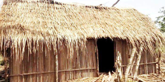 52508 armed herdsmen kill soldier 14 others in benue 52508 armed herdsmen kill soldier 14 others in benue