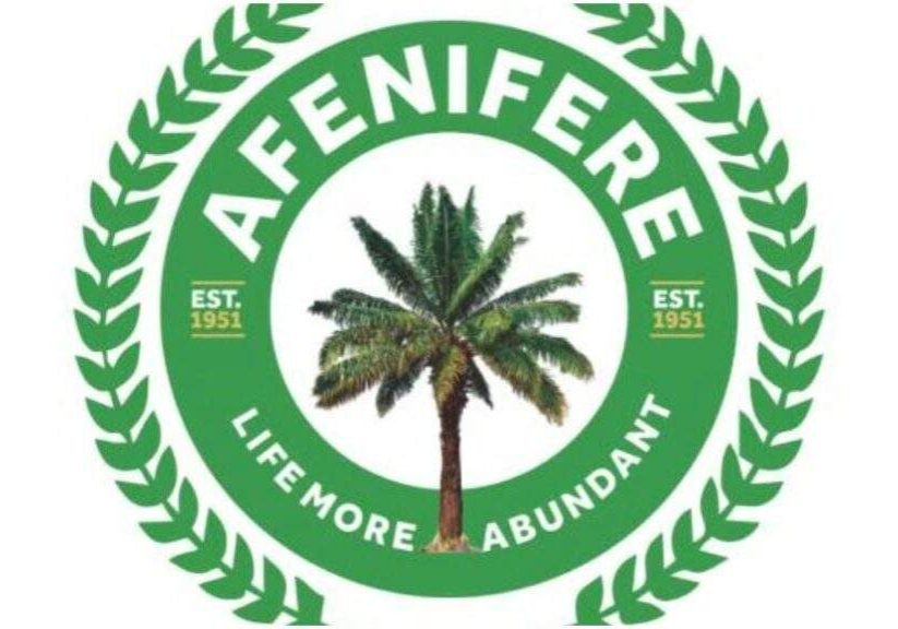 53380 peter obi vs tinubu resolve petitions before may 29 afenifere urges tribunal 53380 peter obi vs tinubu resolve petitions before may 29 afenifere urges tribunal