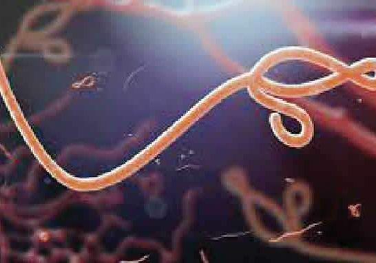 5358 uganda declares end to ebola outbreak