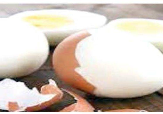 54961 establish egg powder factories to tackle glut agriculturist tells govt