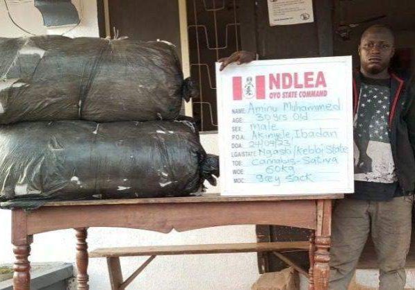 54965 ndlea uncovers factory supplying akuskura to cameroon chad 54965 ndlea uncovers factory supplying akuskura to cameroon chad