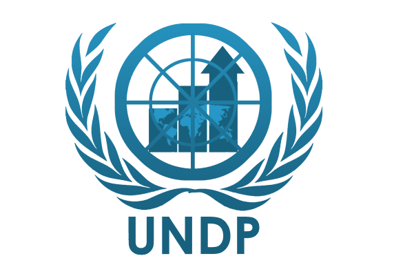 55158 undp wipo canvass robust ip system