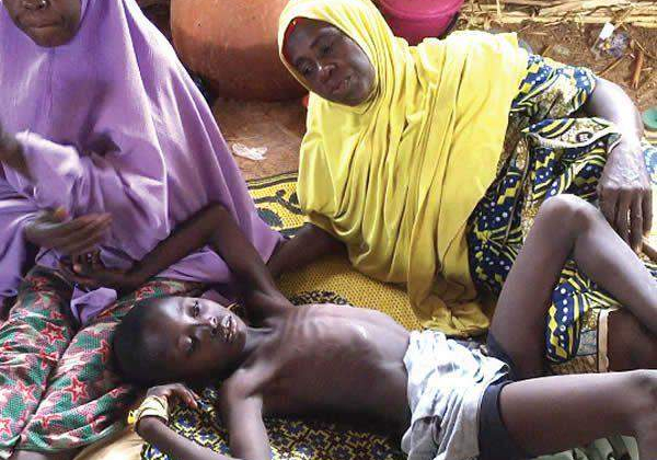 55687 nigeria records 532 meningitis cases 124 deaths 55687 nigeria records 532 meningitis cases 124 deaths
