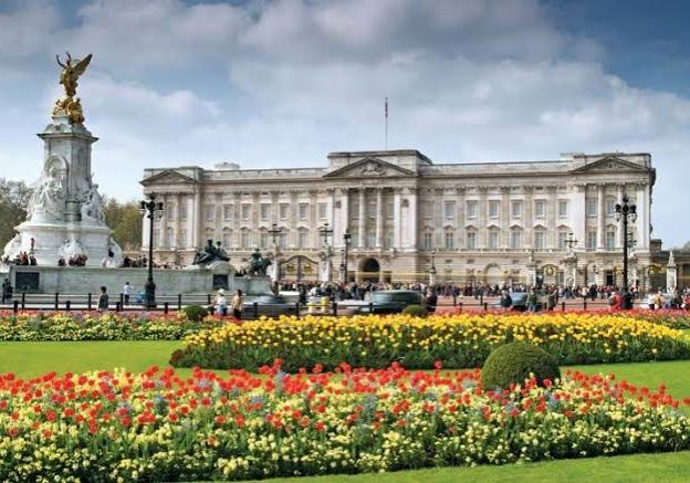 56325 police detain man after shotgun cartridges were thrown into buckingham palace