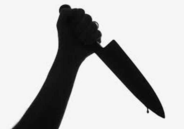 56941 kano teenager stabs mother to death over disagreement 56941 kano teenager stabs mother to death over disagreement
