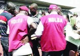 58628 ndlea seizes 8852kg cannabis following gun duel in lagos
